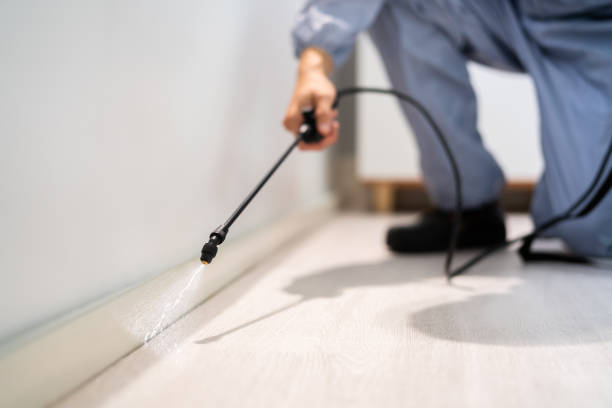 Licensed Termite Control service in Lancaster, WI - Show Me Pest Control